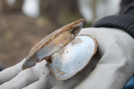 2018 03 24 SaalePUTZ 45